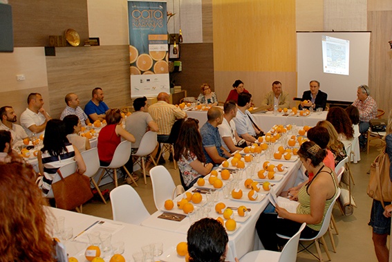 Los restaurantes de Córdoba aprenden sobre las variedades de naranjas del Valle del Guadalquivir
