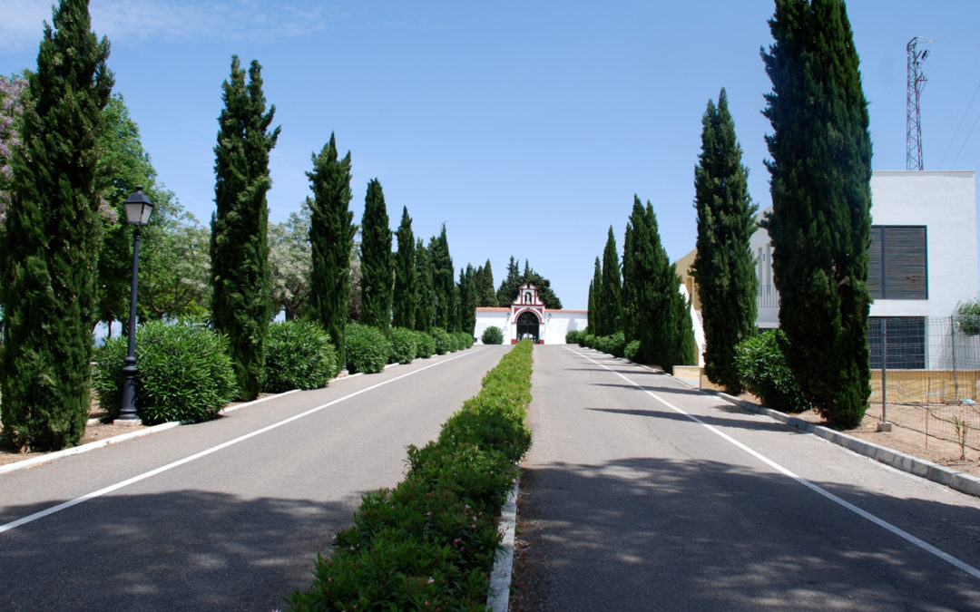 El Ayuntamiento ilumina con fondos propios el camino del cementerio