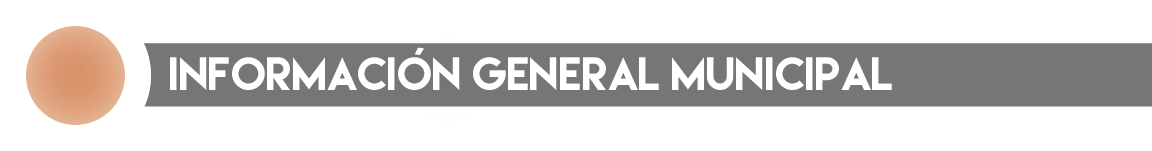Información General Municipal