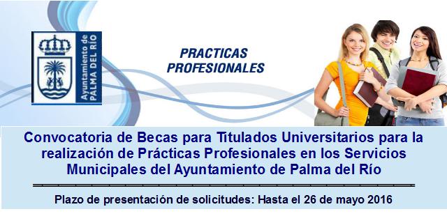 Convocatoria de 10 becas para titulados universitarios para la realización de prácticas profesionales en el Ayuntamiento de Palma del Río 1