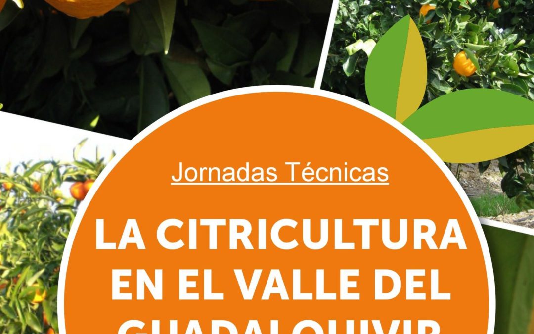 Jornadas técnicas: «La Citricultura en el Valle del Guadalquivir»