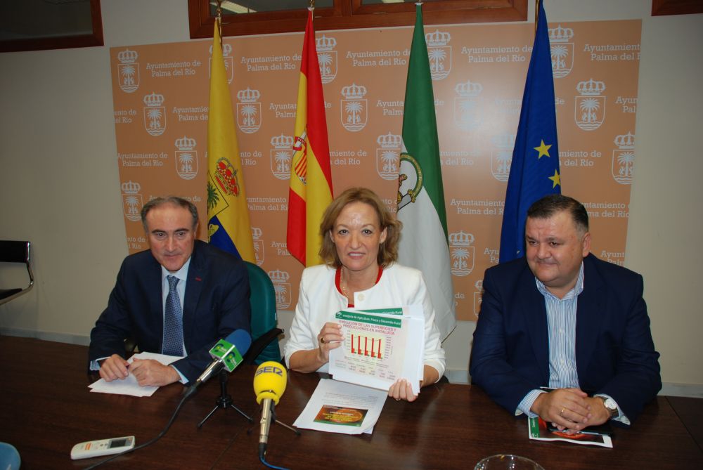 La Consejera de Agricultura presenta en Palma del Río el aforo de producción de cítricos para la campaña 2016-2017 1