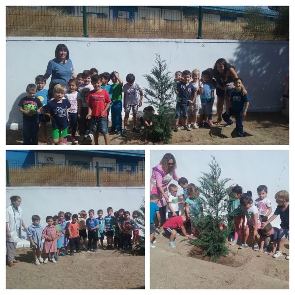 El Ayuntamiento y escolares del Carmona Sosa realizan una plantación simbólica de árboles en el Centro