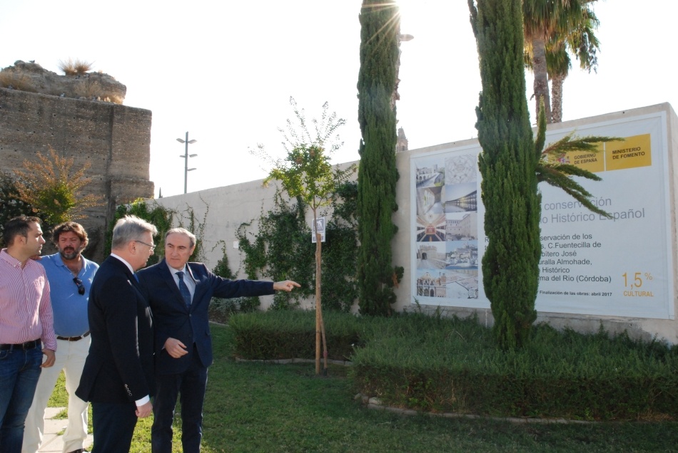 El alcalde y el subdelegado del Gobierno visitan la culminación de las obras de rehabilitación de tres tramos de la   Muralla Almohade de Palma del Río 1