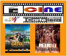 Cine en el Espacio Joven: "Gatos. Un Viaje de Vuelta a Casa" y "Detroit" 1