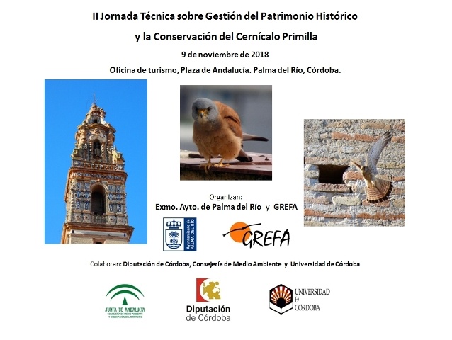 II jornada técnica sobre gestión del Patrimonio Histórico y la conservación del Cenícalo Primilla