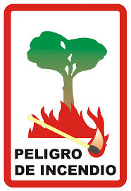 Protección Civil de Palma del Río recuerda que desde el 1 de junio hasta el 15 de octubre se prohibe el uso de fuego en espacios forestales