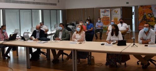 El Secretario General de Agricultura presenta en Palma del Río el aforo de producción de cítricos para la campaña 2020-2021 1
