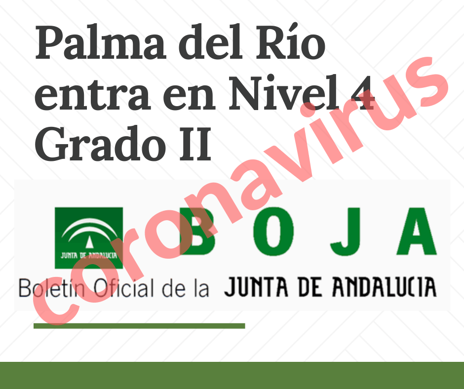 Palma del Río entra en Nivel 4 Grado 2 de alerta por coronavirus 1