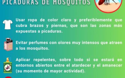 Consejos para evitar la proliferación de mosquitos.